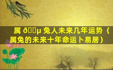 属 🐵 兔人未来几年运势（属兔的未来十年命运卜易居）